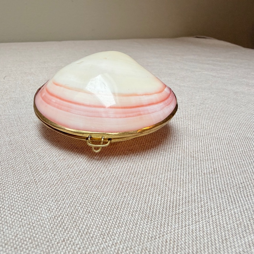 Vintage Pink and White Polished Clam Shell Trinket Dish